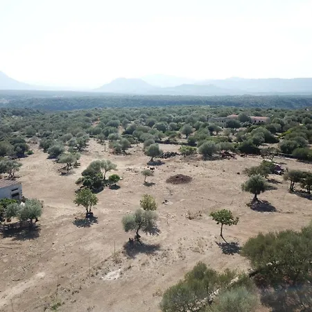 Sa Murta Farm stay *