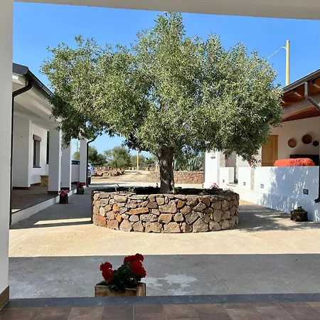 Sa Murta Lantgård Dorgali