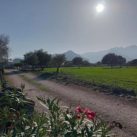 Farm stay Sa Murta