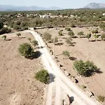 Sa Murta Dorgali