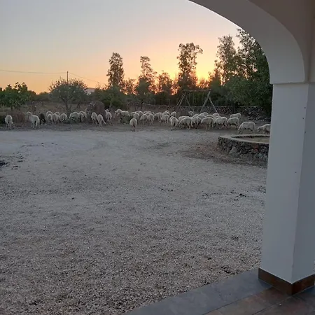 Alloggio per agriturismo Sa Murta