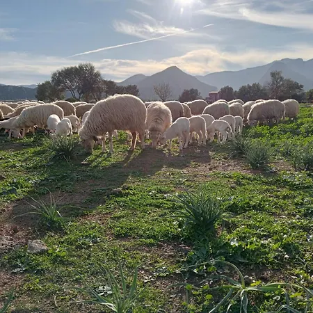Sa Murta Κατάλυμα σε φάρμα *