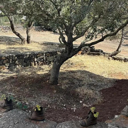 Sa Murta Dorgali
